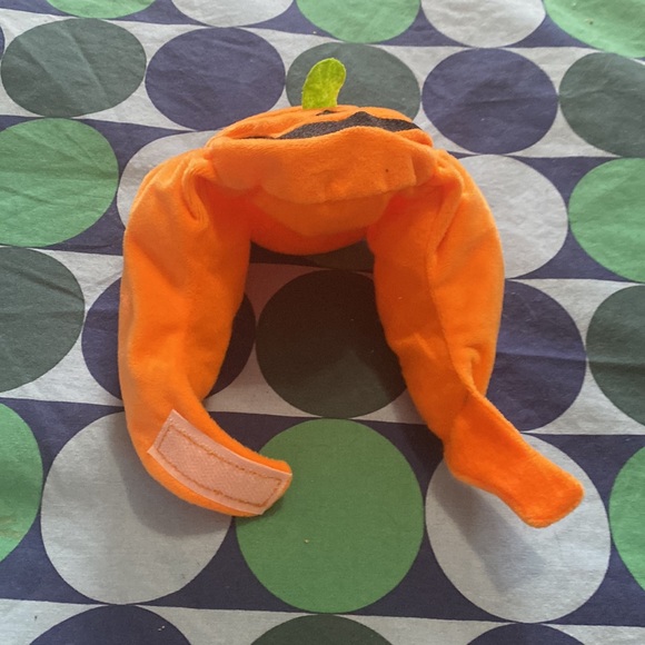 Cat/Small Dog Pumpkin Hat 🎃 - Picture 3 of 5